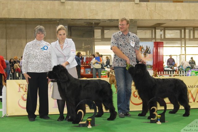 Фотография № 81645