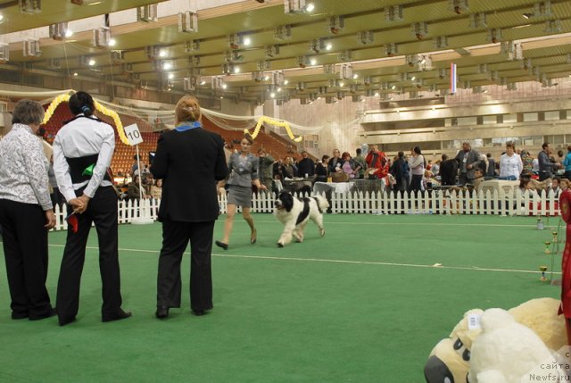 Фотография № 81646