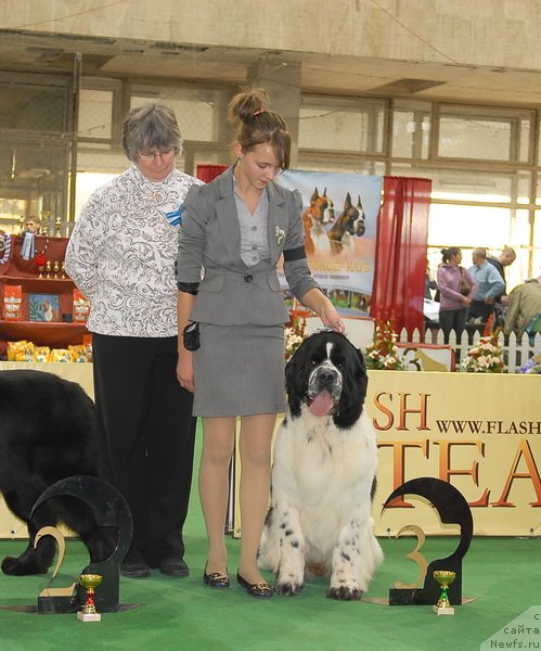 Фотография № 81652