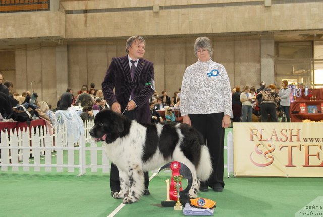 Фотография № 81656