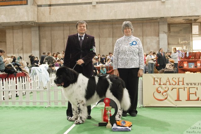 Фотография № 81659