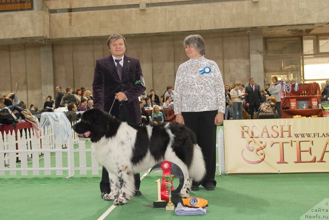 Фотография № 81660