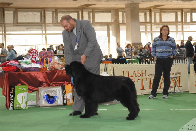 Фотография № 81662