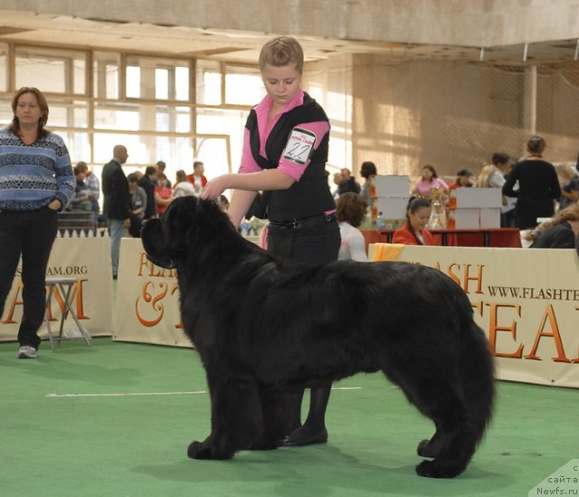 Фотография № 81663