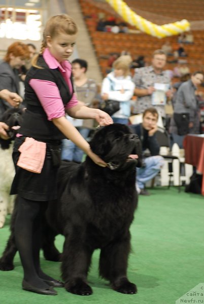 Фотография № 81664