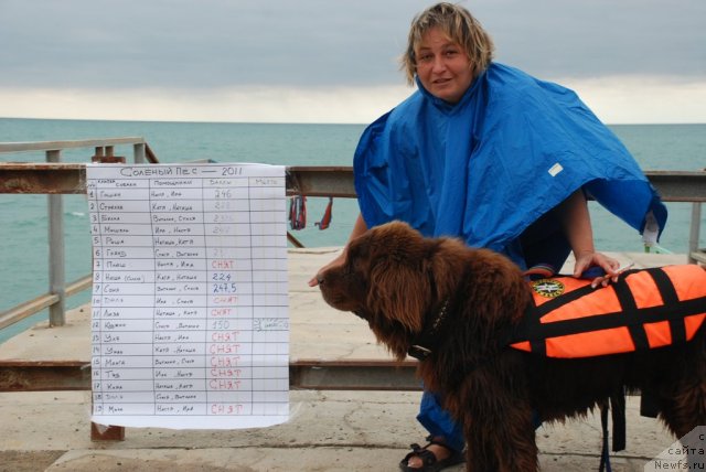 Фотография № 81673