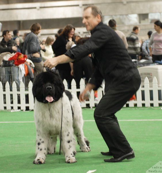 Фотография № 81683