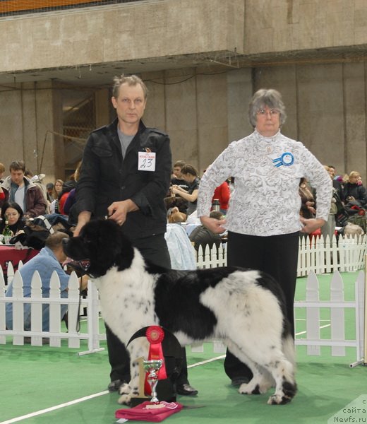 Фотография № 81684