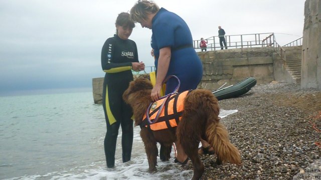 Фотография № 81697