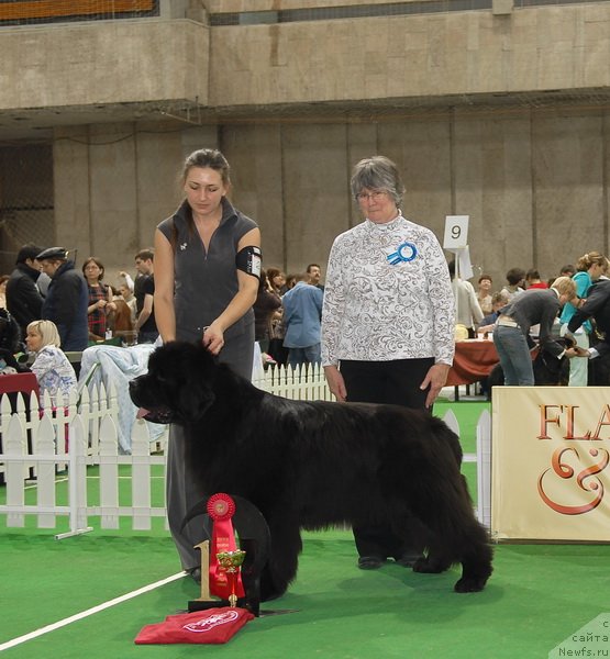 Фотография № 81699