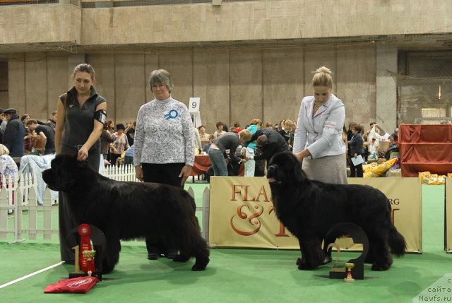 Фотография № 81700