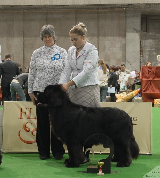 Фотография № 81702