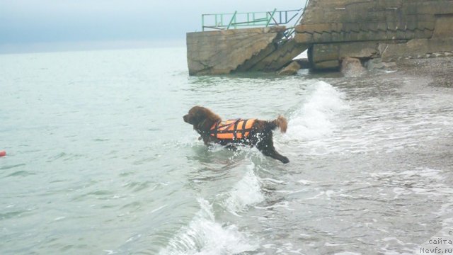 Фотография № 81703