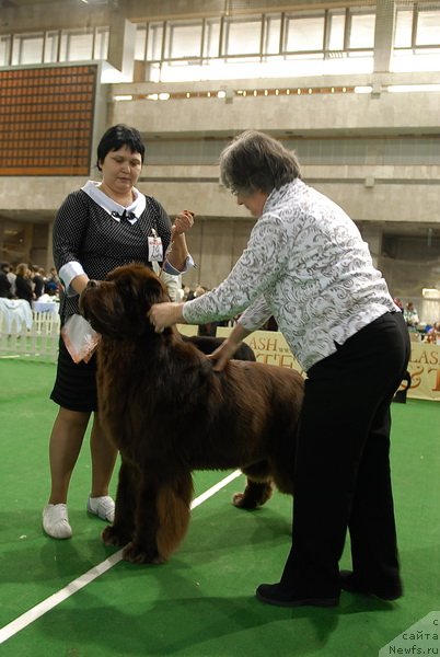 Фотография № 81704