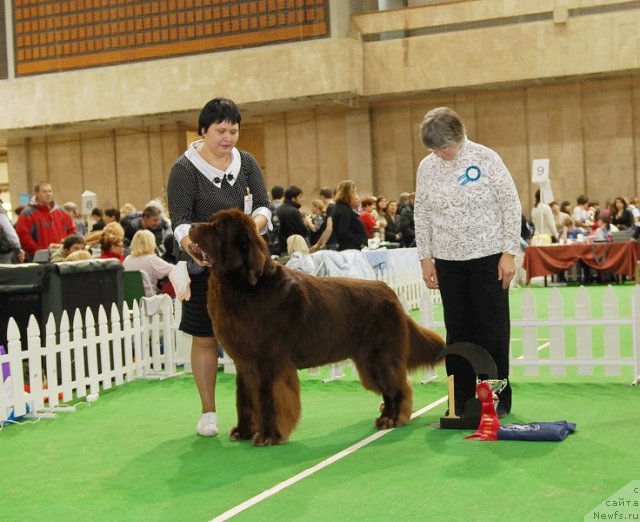 Фотография № 81705