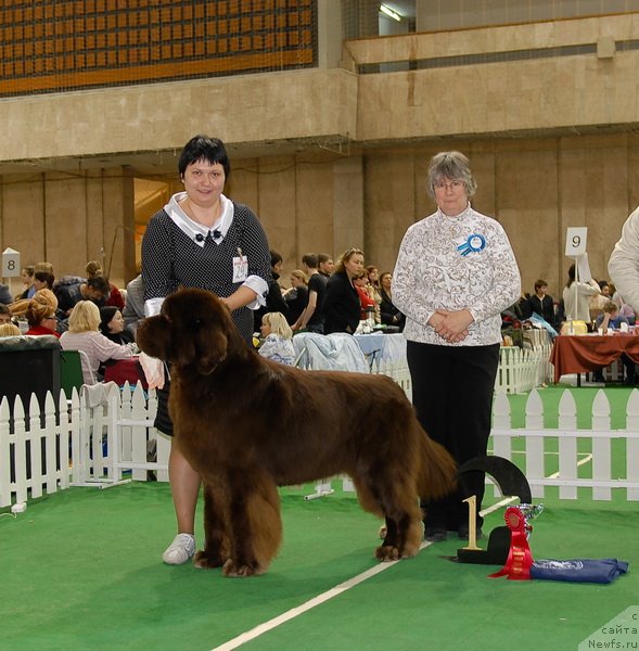 Фотография № 81706