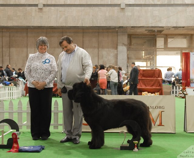 Фотография № 81709