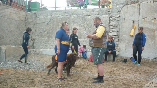 Фото: ньюфаундленд Юджин с Берега Дона, Лилиана Рахматова, Юрий Малев