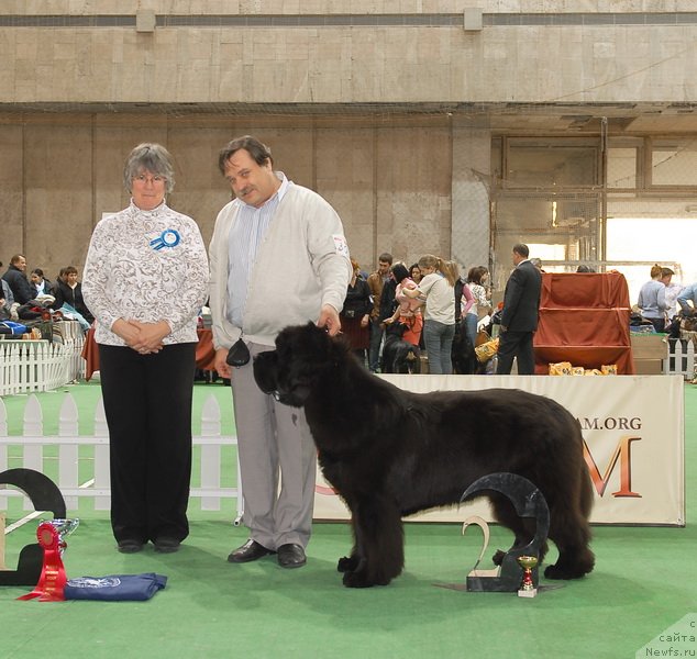 Фотография № 81715