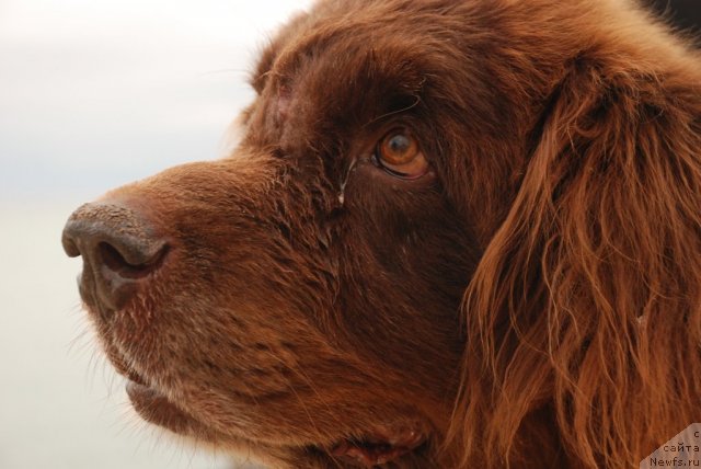 Фотография № 81723