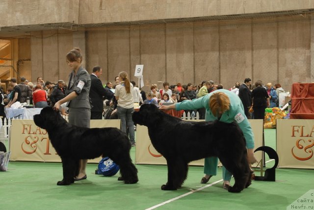 Фотография № 81724