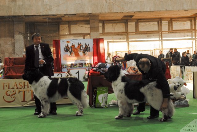 Фотография № 81725