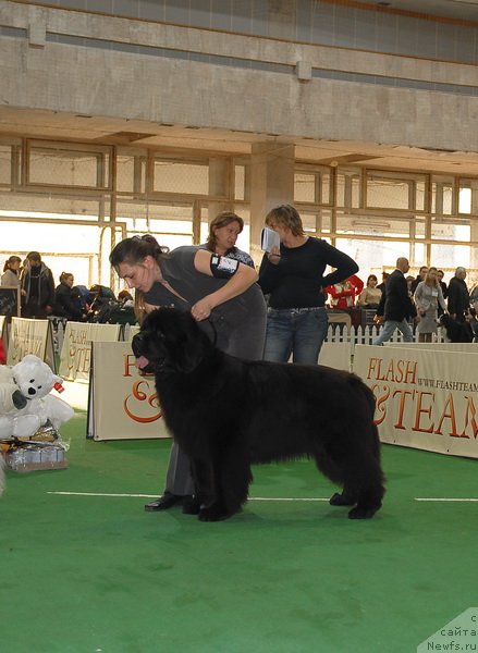 Фотография № 81728