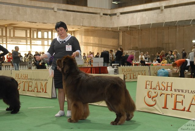 Фотография № 81730