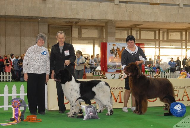 Фотография № 81733