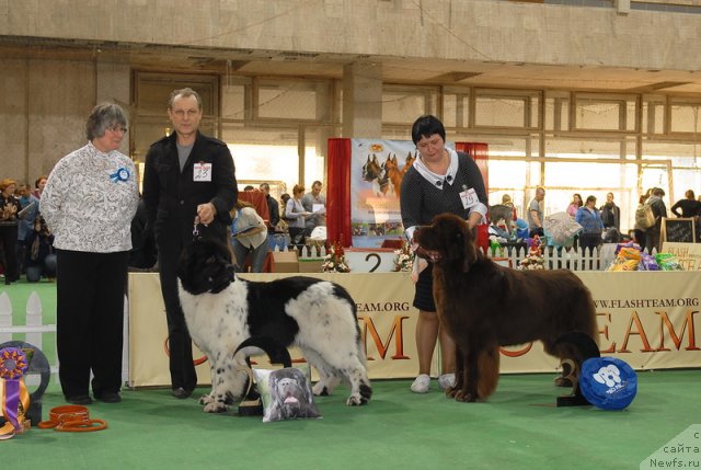 Фотография № 81734