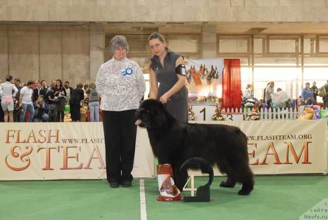 Фотография № 81740