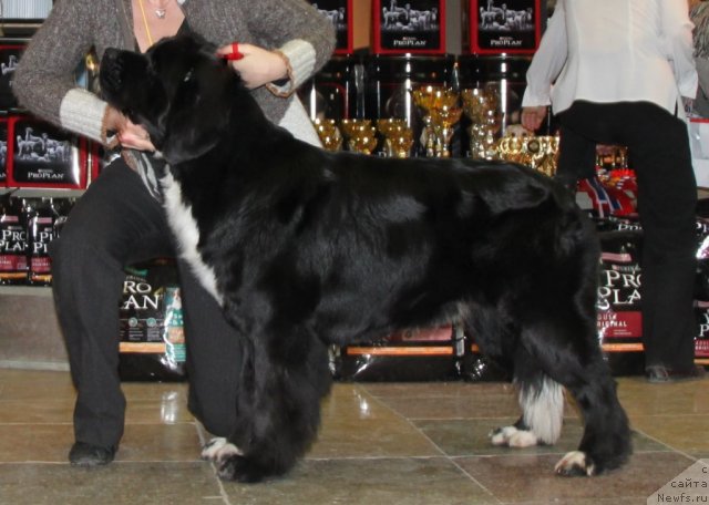 Фотография № 81843