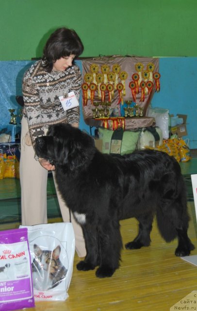 Фотография № 81850