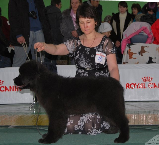 Фотография № 81853