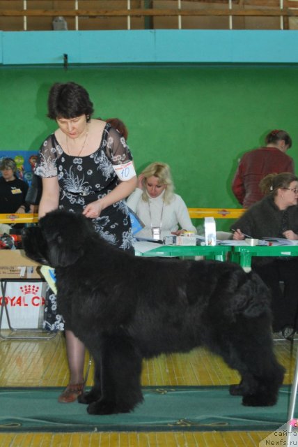 Фотография № 81855