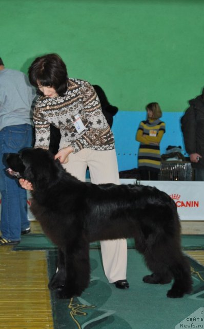 Фотография № 81856