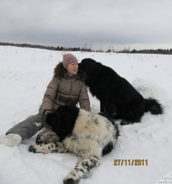 Фотография № 81861