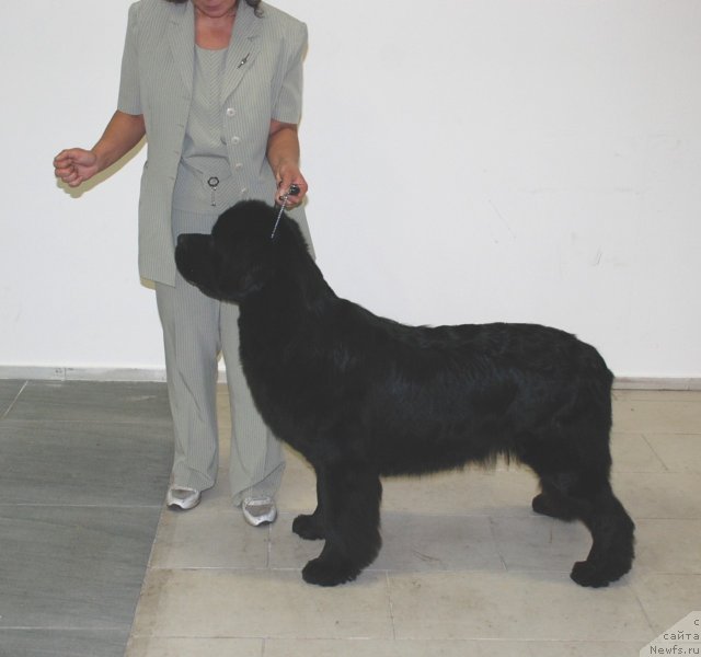 Фотография № 81868