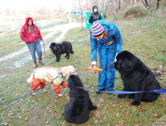 Фотография № 81882