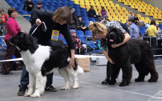 Фотография № 81896