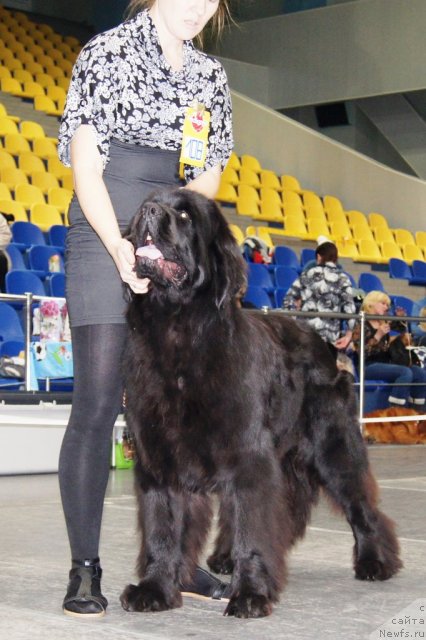 Фотография № 81899