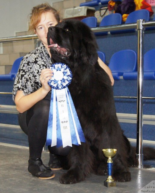 Фотография № 81906