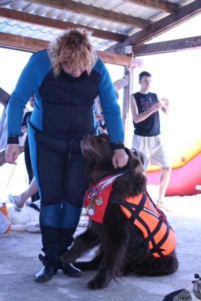 Фото: Юджин, ньюфаундленд Юджин с Берега Дона