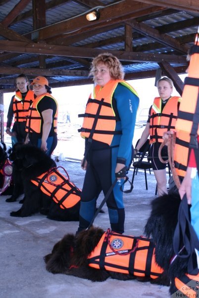 Фото: Юджин с Берега Дона, ньюфаундленд Юджин с Берега Дона