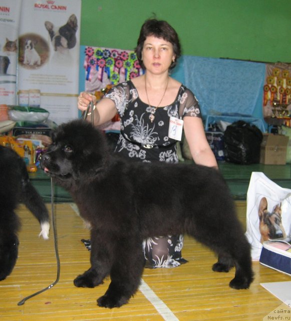 Фотография № 81973