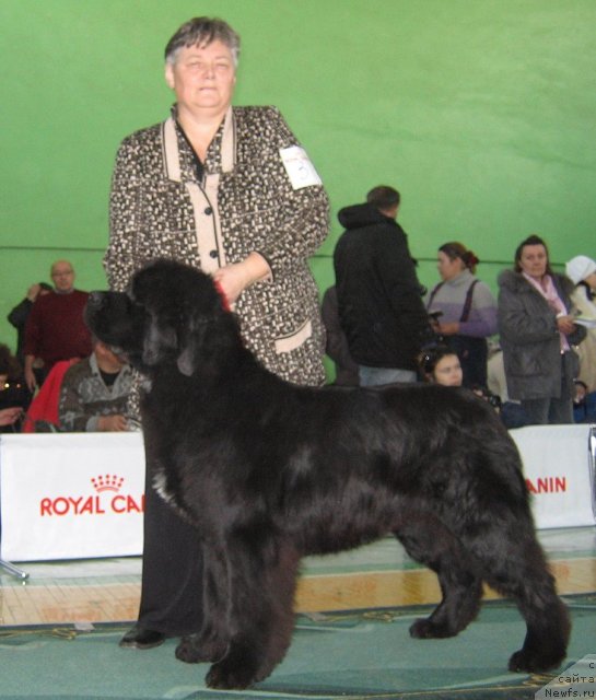 Фотография № 81977