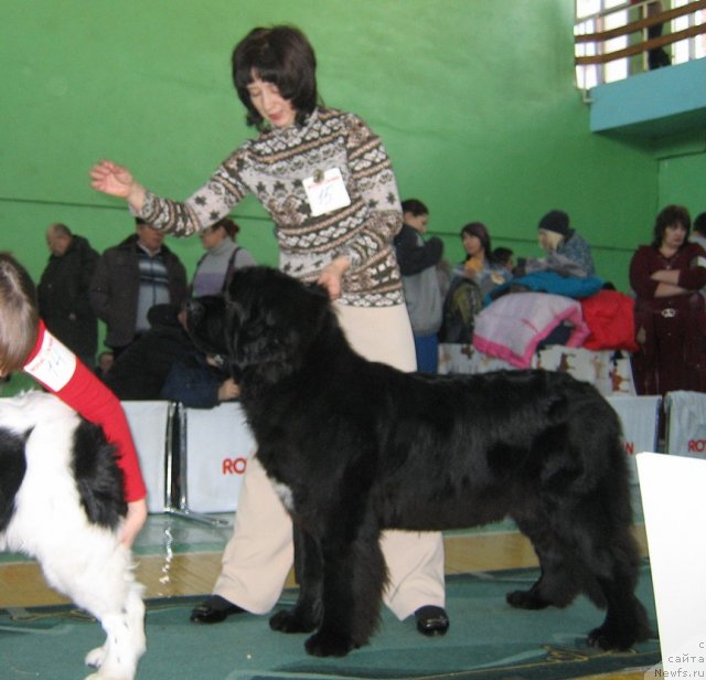 Фотография № 81979