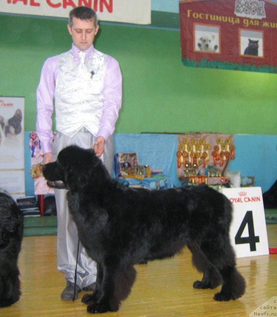 Фотография № 81980