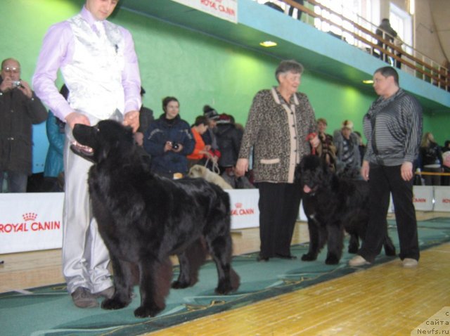 Фотография № 81981