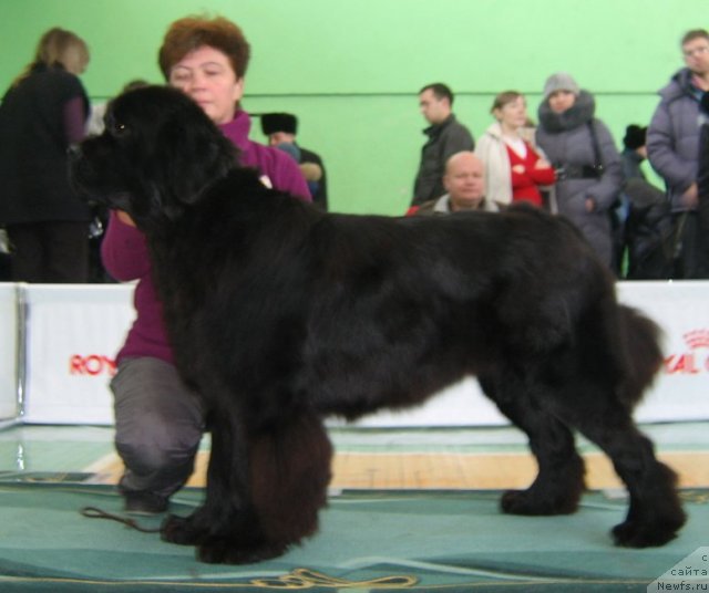 Фотография № 81987